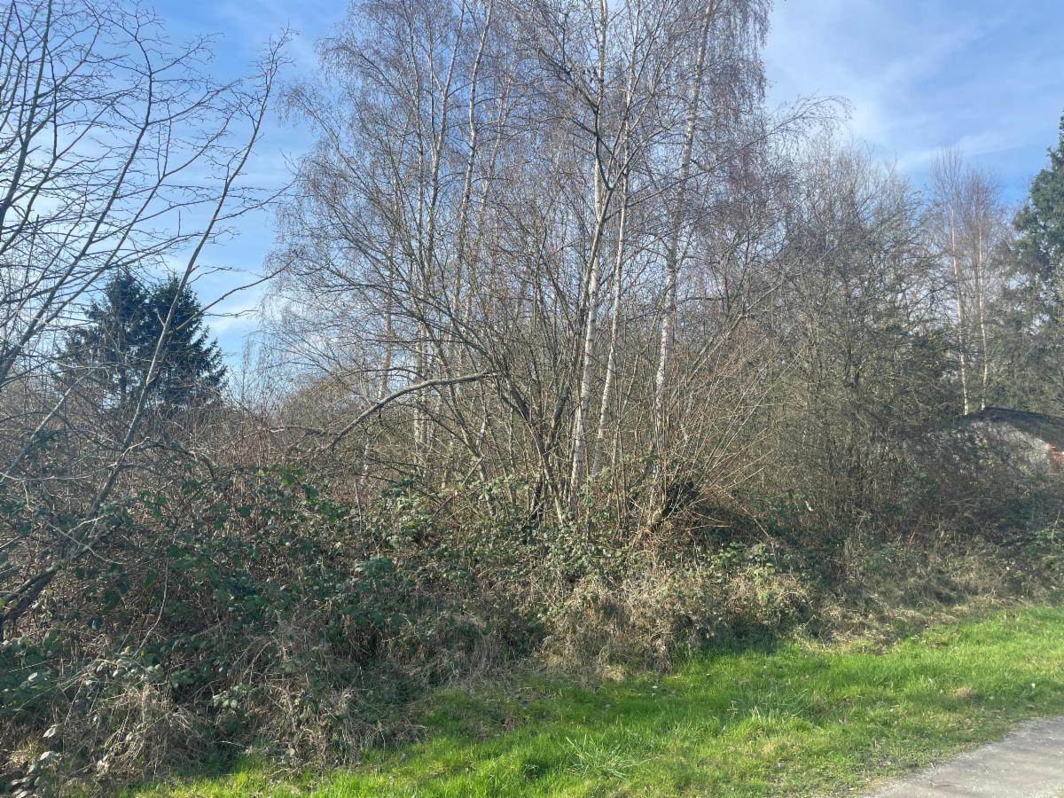 Presentatiebeeld van het pand n° 293481