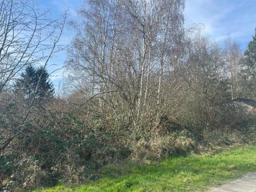 Presentatiebeeld van het pand n° 293481