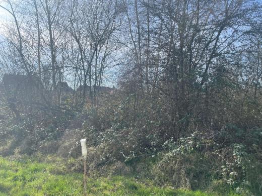 Eerste alternatieve foto van het pand