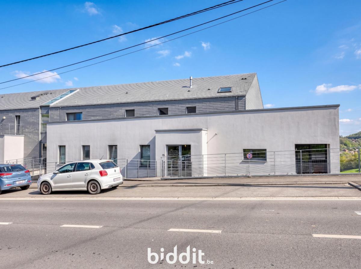 Presentatiebeeld van het pand n° 295775