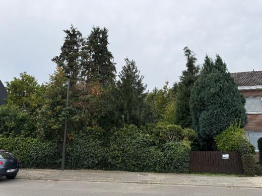 Eerste alternatieve foto van het pand