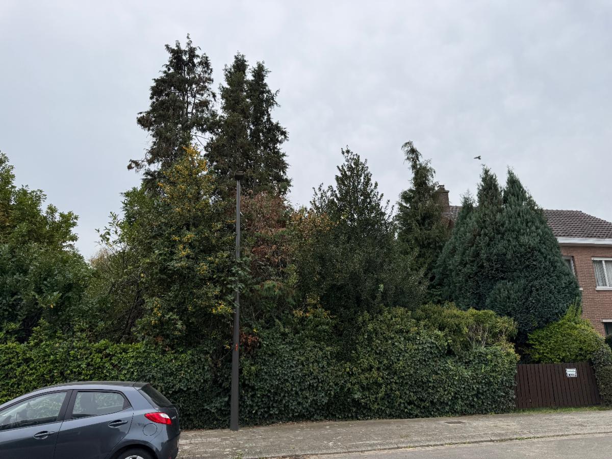 Presentatiebeeld van het pand n° 303205