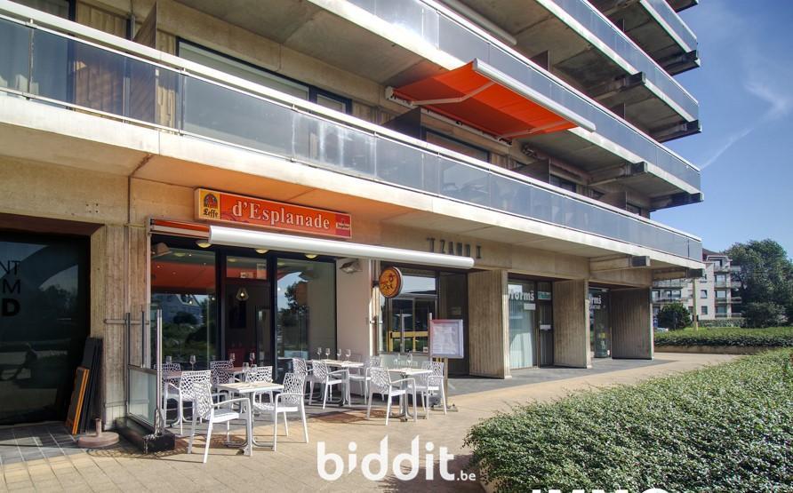 Presentatiebeeld van het pand n° 291729