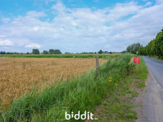 Tweede alternatieve foto van het pand