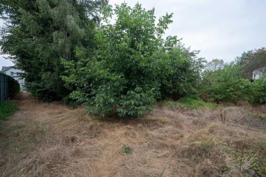 Derde alternatieve foto van het pand