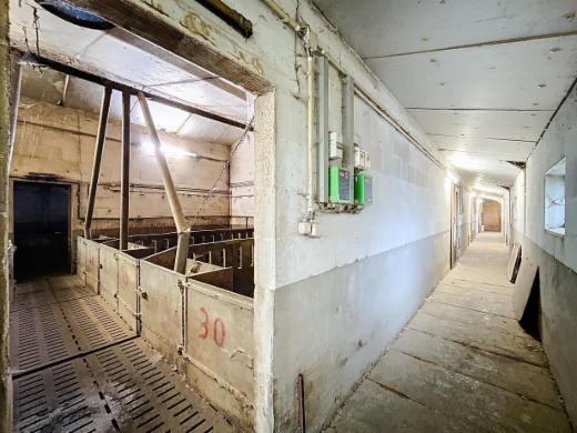 Derde alternatieve foto van het pand