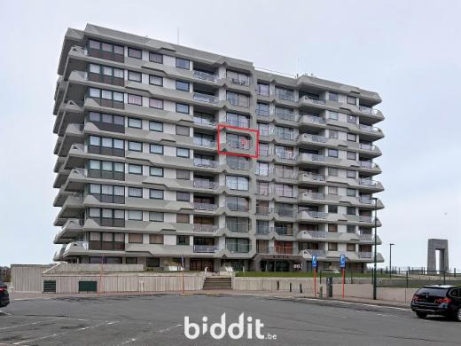 Presentatiebeeld van het pand n° 294054