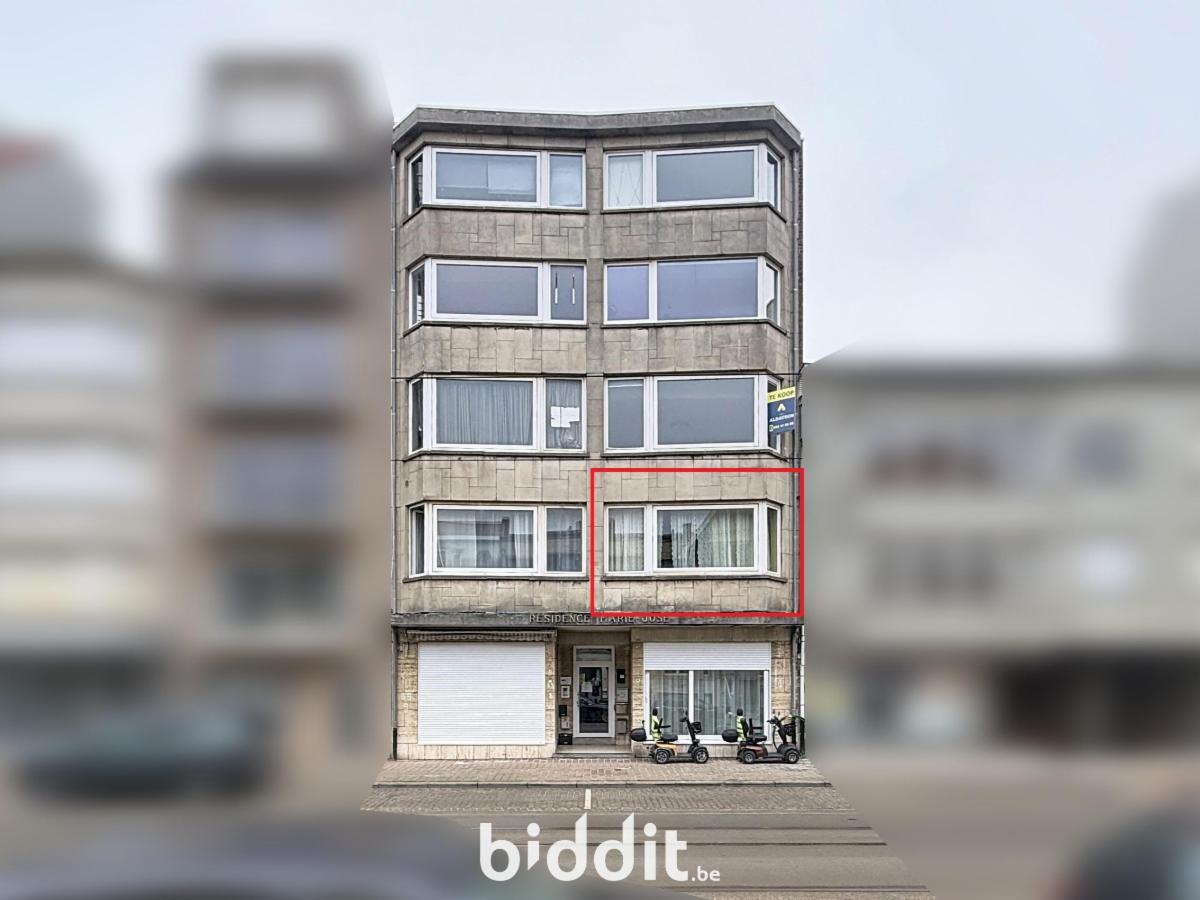 Presentatiebeeld van het pand n° 294760