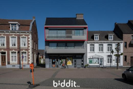 Presentatiebeeld van het pand n° 282911