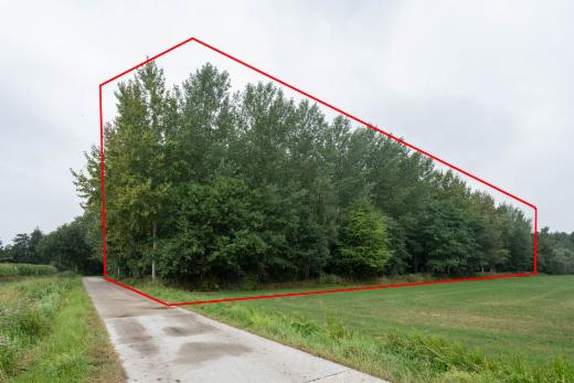 Presentatiebeeld van het pand n° 301298