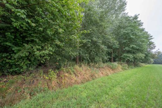 Derde alternatieve foto van het pand