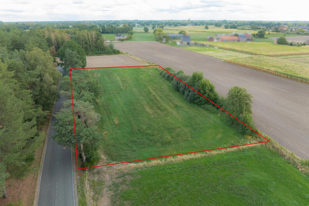 Presentatiebeeld van het pand n° 302650