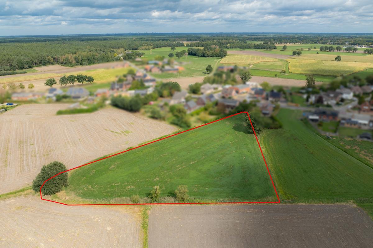 Presentatiebeeld van het pand n° 302652