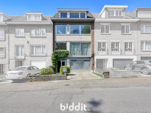 Presentatiebeeld van het pand n° 290483