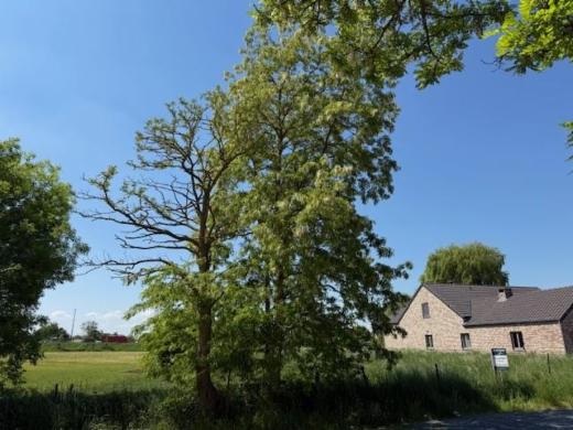 Tweede alternatieve foto van het pand
