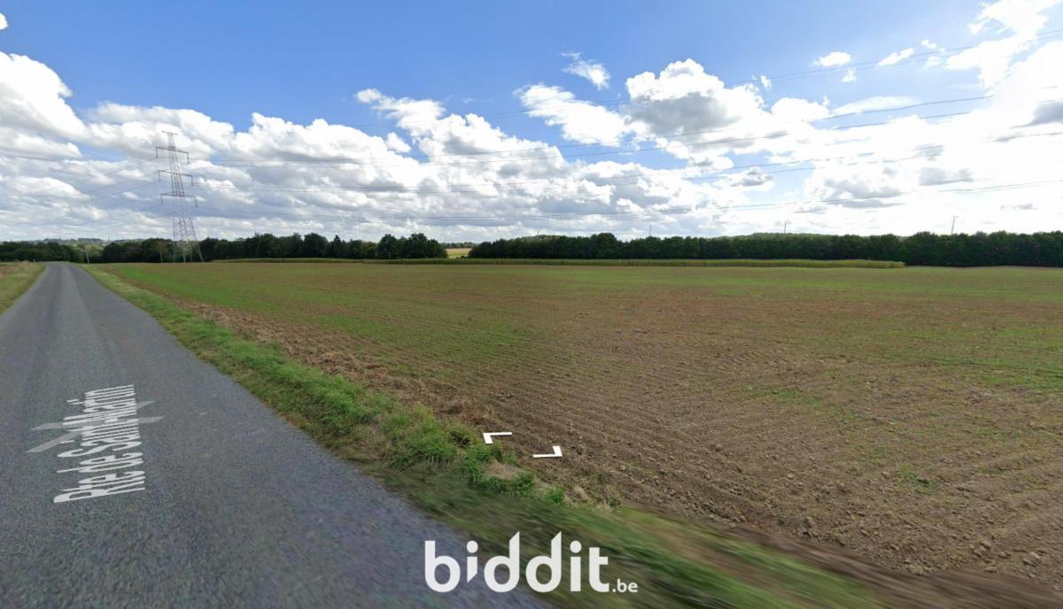 Presentatiebeeld van het pand n° 294350