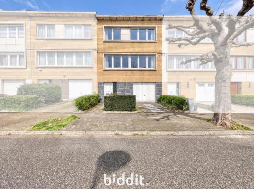 Presentatiebeeld van het pand n° 294713