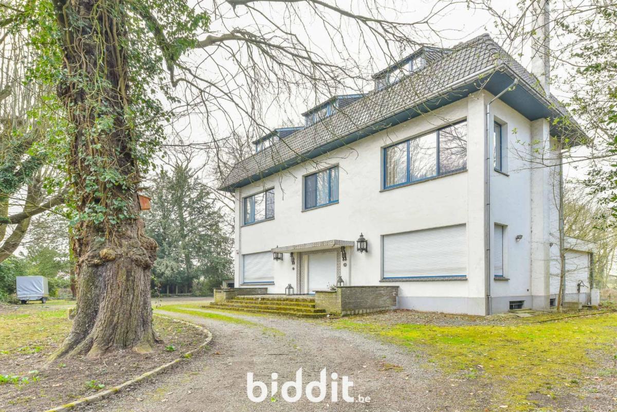 Presentatiebeeld van het pand n° 291554