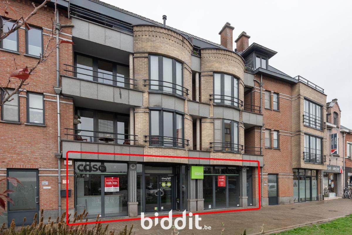 Presentatiebeeld van het pand n° 293687