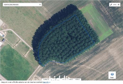 Eerste alternatieve foto van het pand