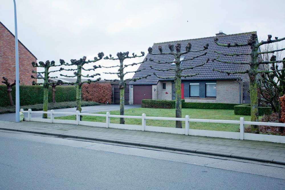 Presentatiebeeld van het pand n° 293360