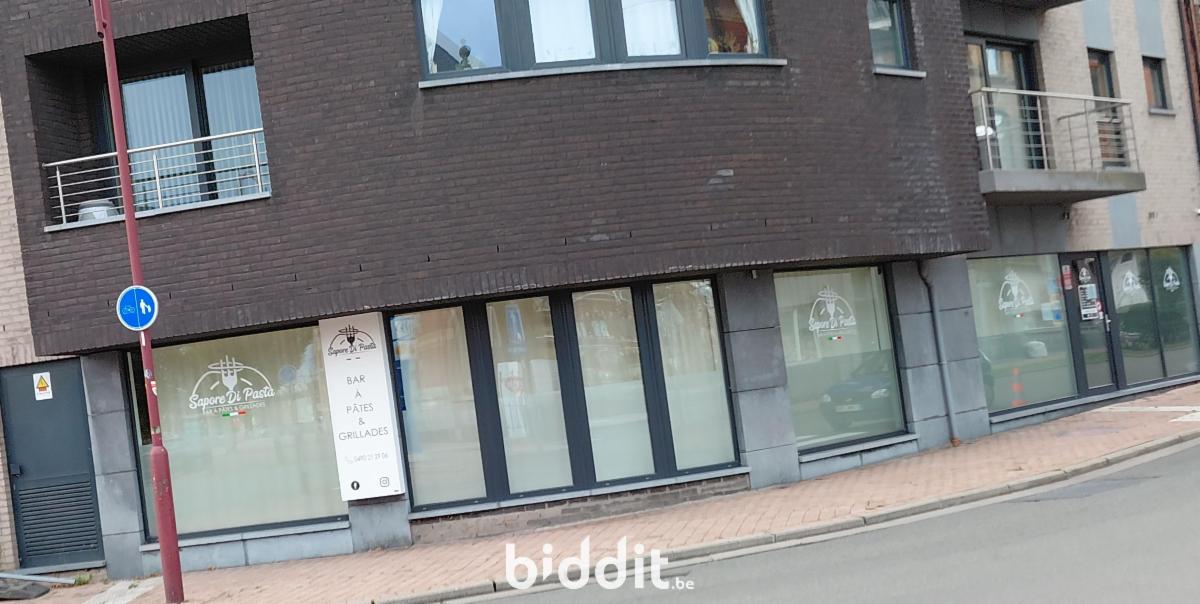 Presentatiebeeld van het pand n° 289074