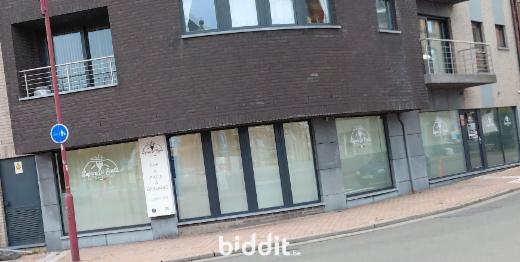 Presentatiebeeld van het pand n° 289074