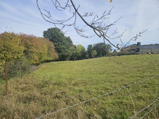 Tweede alternatieve foto van het pand