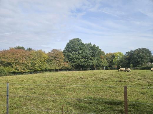 Derde alternatieve foto van het pand