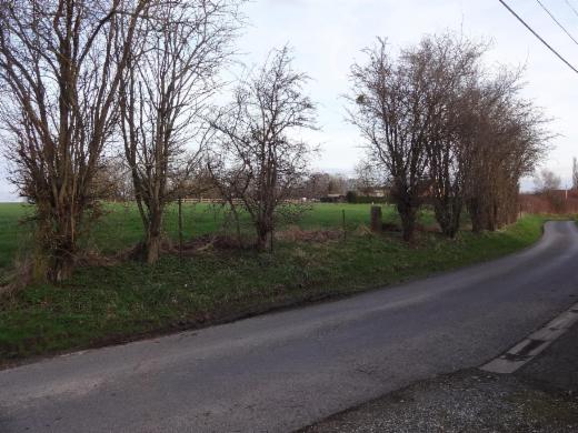 Tweede alternatieve foto van het pand