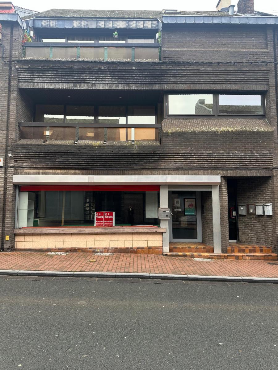 Presentatiebeeld van het pand n° 294138