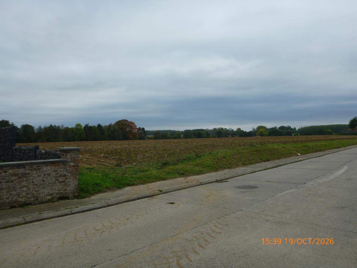 Presentatiebeeld van het pand n° 303688