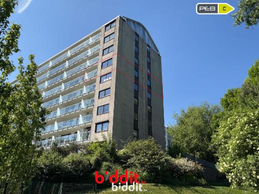 Presentatiebeeld van het pand n° 283366
