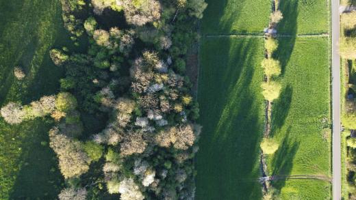 Eerste alternatieve foto van het pand