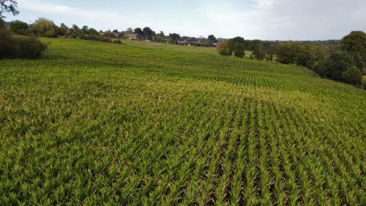 Eerste alternatieve foto van het pand