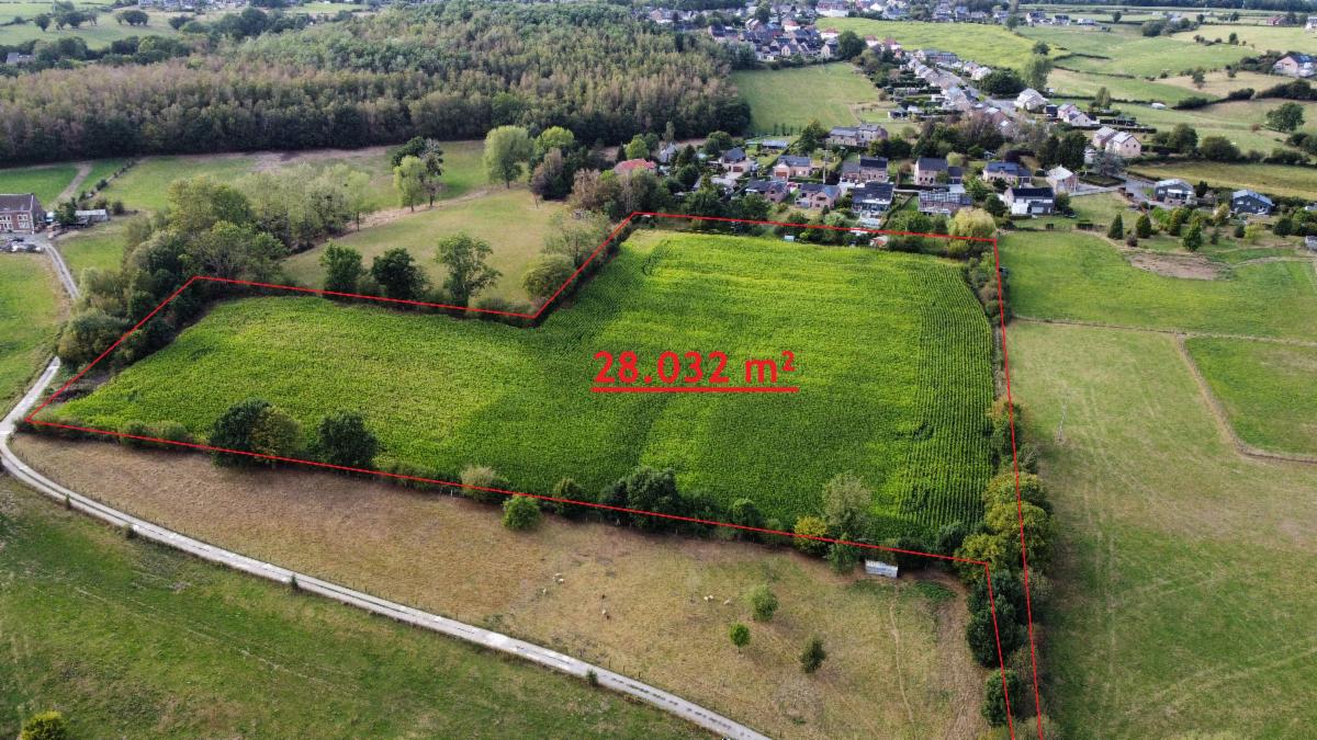 Presentatiebeeld van het pand n° 303256