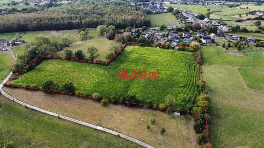 Presentatiebeeld van het pand n° 303256