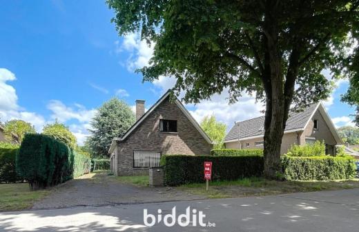 Eerste alternatieve foto van het pand