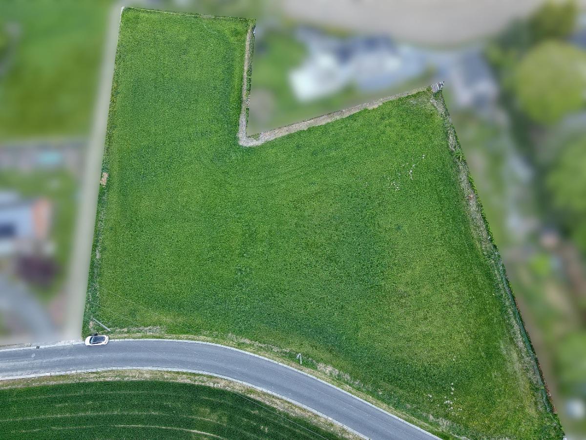 Presentatiebeeld van het pand n° 295919