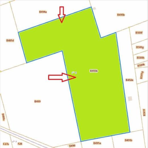 Presentatiebeeld van het pand n° 293720