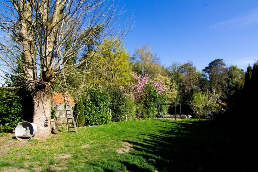 Tweede alternatieve foto van het pand