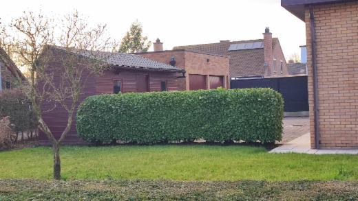 Derde alternatieve foto van het pand