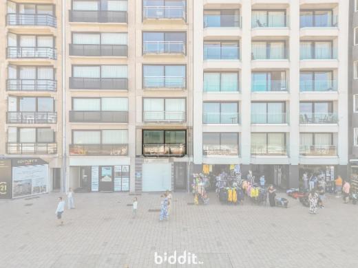 Presentatiebeeld van het pand n° 288049