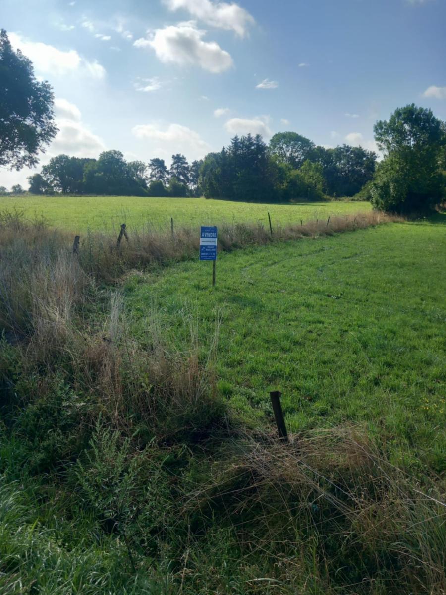 Presentatiebeeld van het pand n° 284975