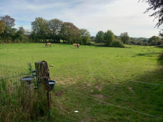 Presentatiebeeld van het pand n° 288890