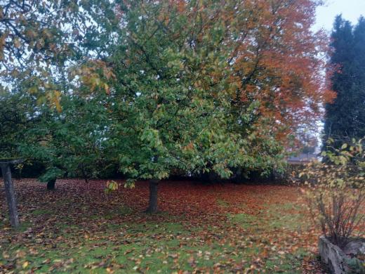 Tweede alternatieve foto van het pand