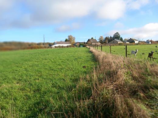 Eerste alternatieve foto van het pand