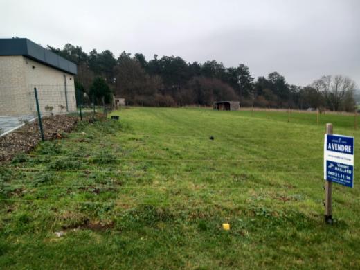 Tweede alternatieve foto van het pand