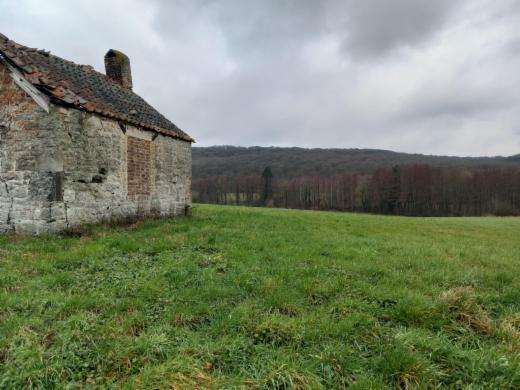 Eerste alternatieve foto van het pand