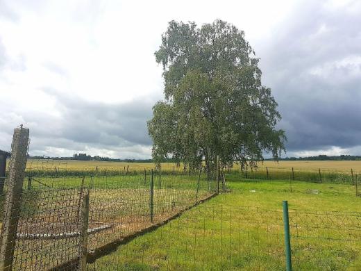 Derde alternatieve foto van het pand